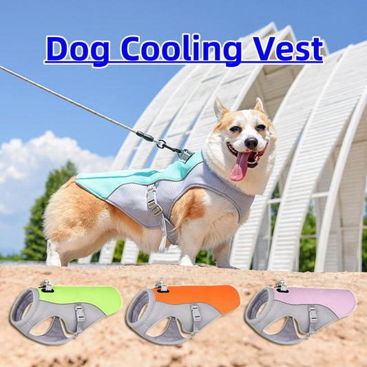 Beyond Heat Resistant Summer Dog Cooling Walking Vest