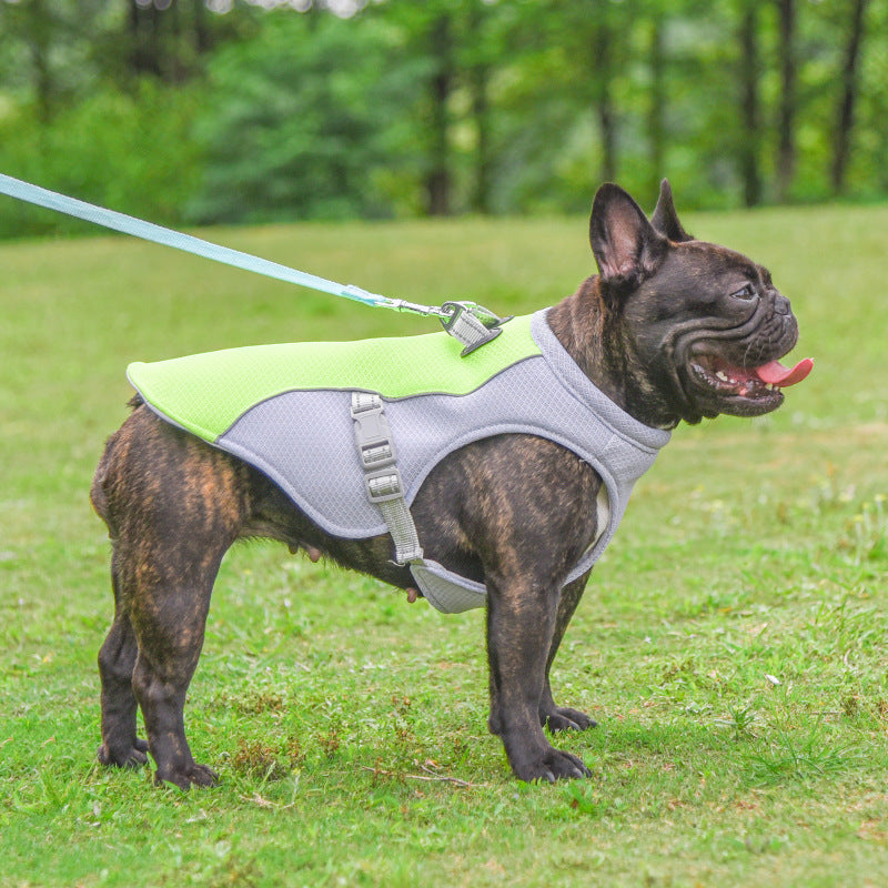 Beyond Heat Resistant Summer Dog Cooling Walking Vest